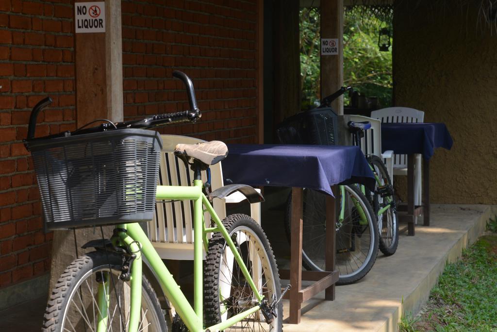 Jungle Beach Hostel Unawatuna Εξωτερικό φωτογραφία